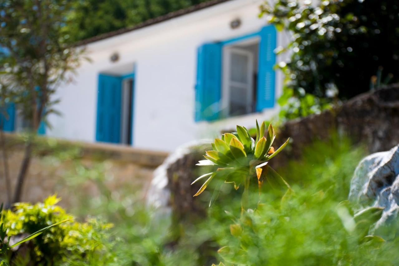 فاثي The Olive Cottage - Ithaca المظهر الخارجي الصورة