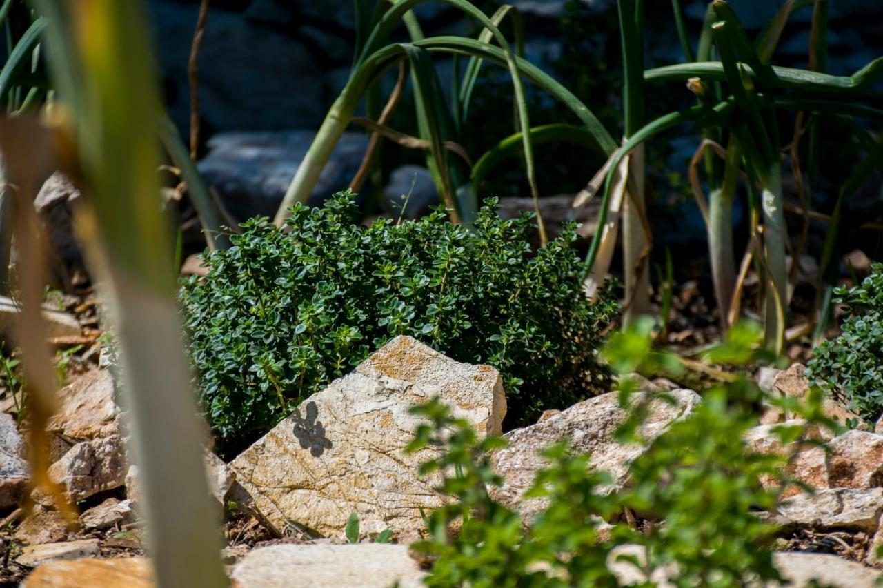 فاثي The Olive Cottage - Ithaca المظهر الخارجي الصورة